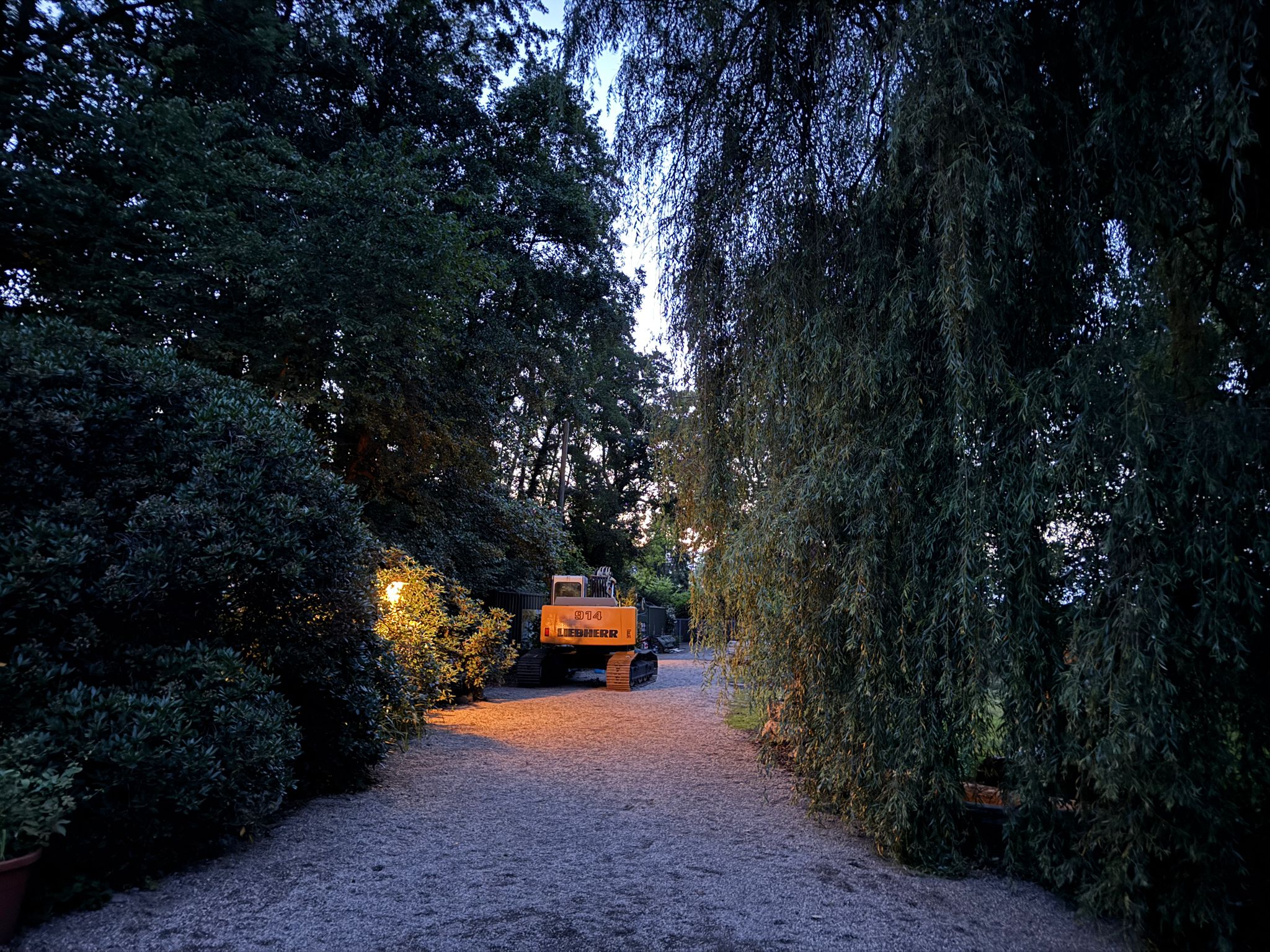 Bagger in der Abenddämmerung zwischen Bäumen