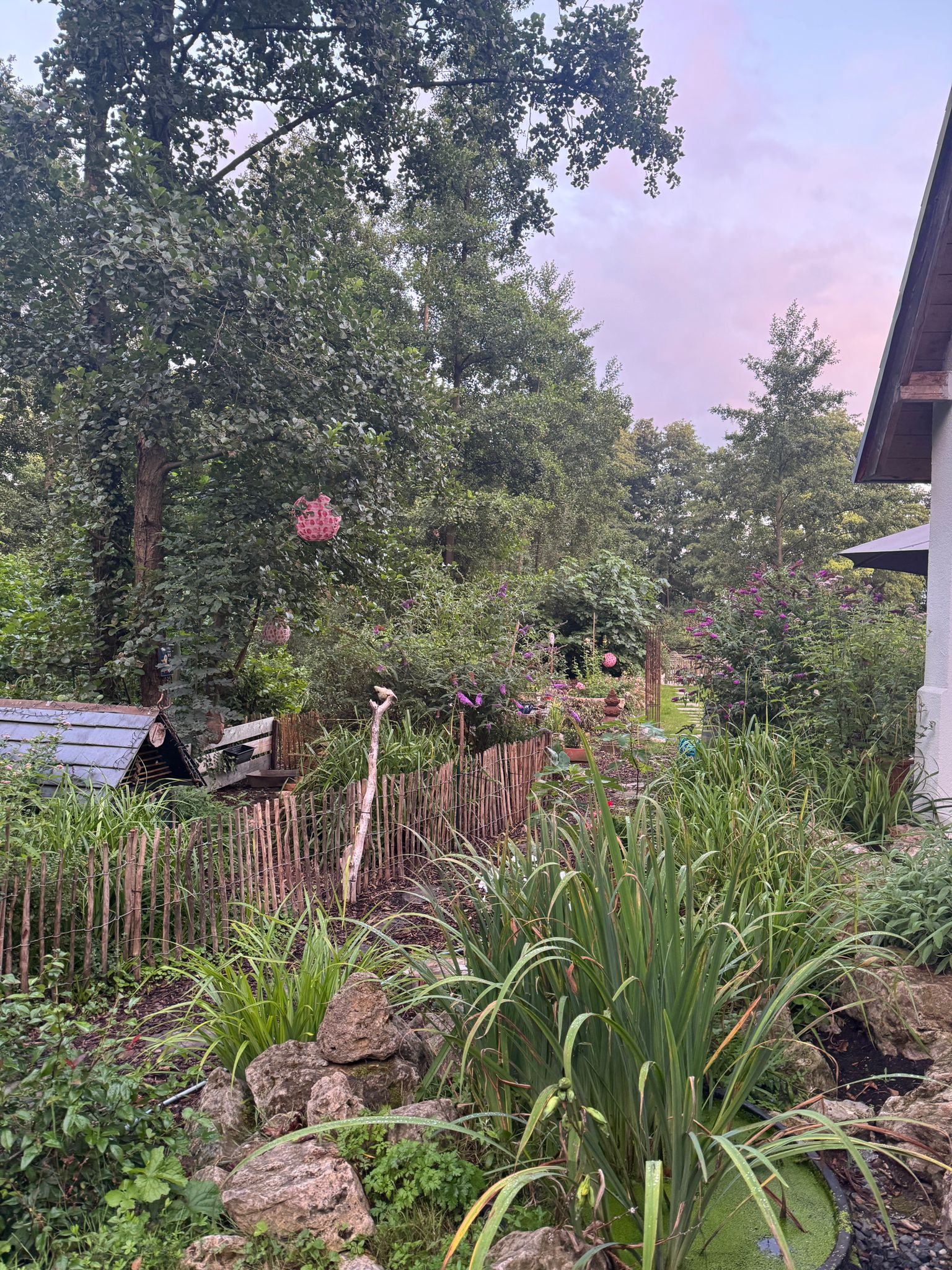 Blühender Garten in der Abendsonne